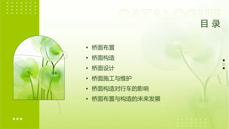 桥面布置与桥面构造课件_第2页