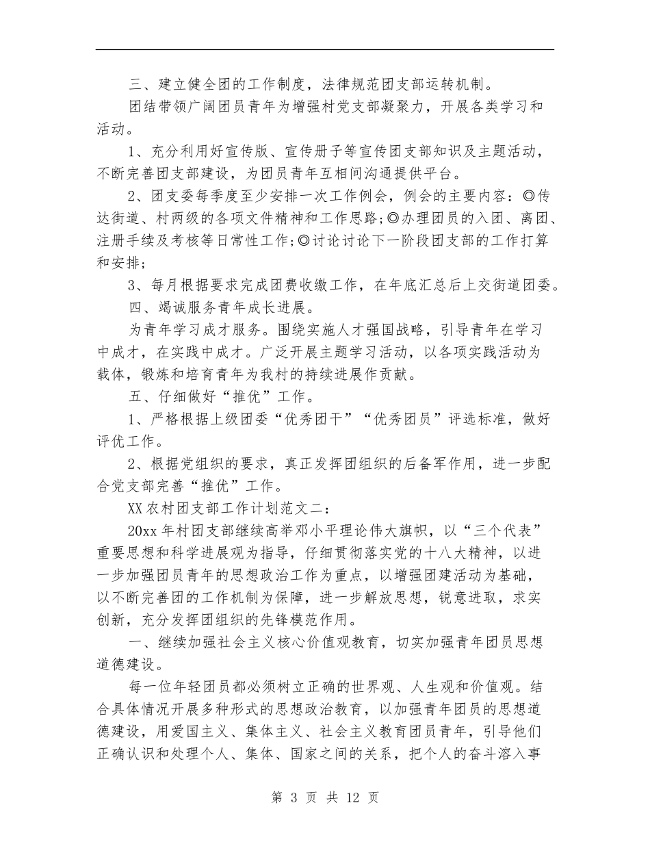 2024年村团支部工作计划范文4篇_第3页
