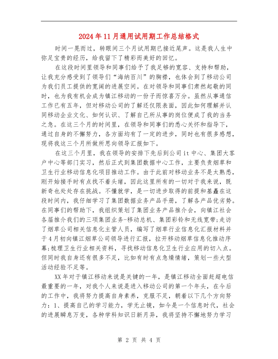 2024年11月通用试用期工作总结格式_第2页