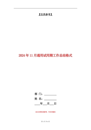 2024年11月通用试用期工作总结格式