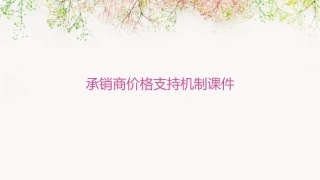 承销商价格支持机制课件