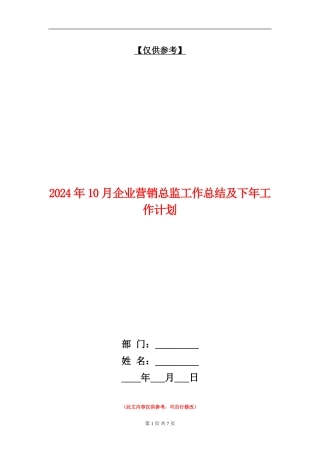 2024年10月企业营销总监工作总结及下年工作计划