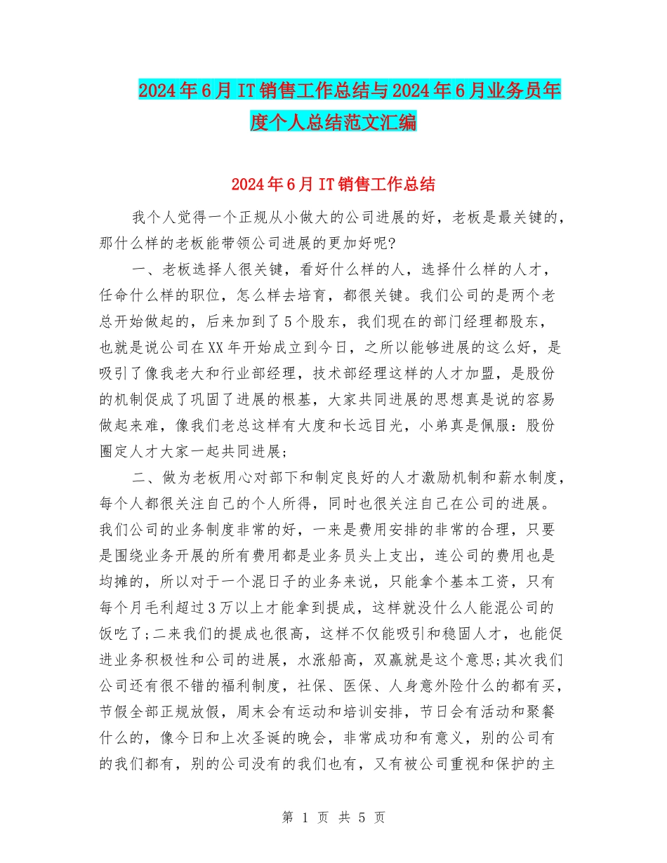 2024年6月IT销售工作总结与2024年6月业务员年度个人总结范文汇编_第1页