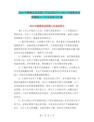 2024年销售员试用期工作总结范文与2024年销售员试用期转正工作总结范文汇编