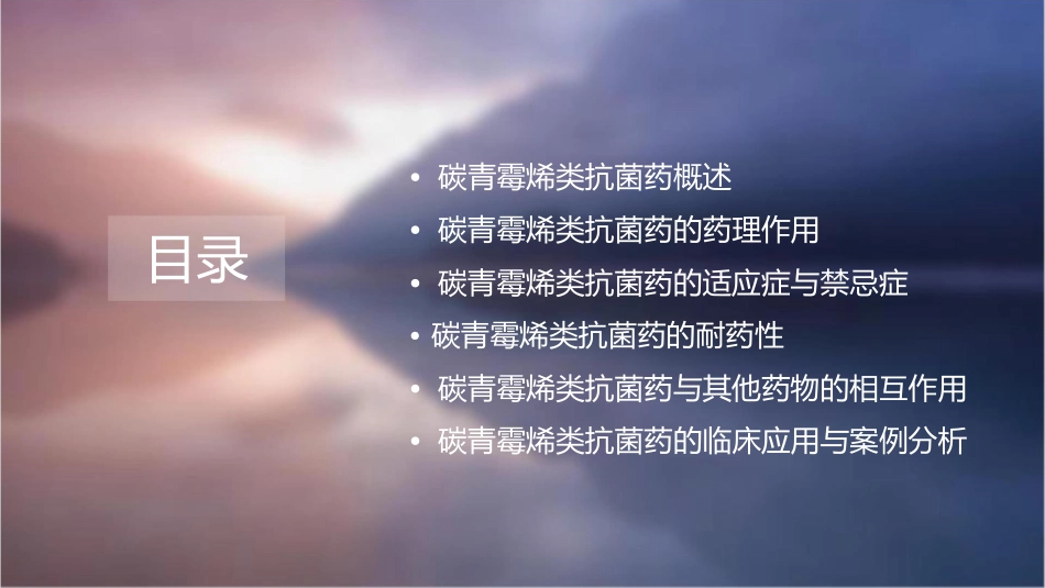 碳青霉烯类抗菌药课件_第2页