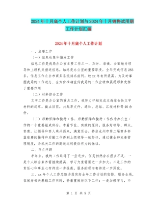 2024年十月底个人工作计划与2024年十月销售试用期工作计划汇编