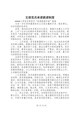 支部党员承诺践诺规章制度  (2)