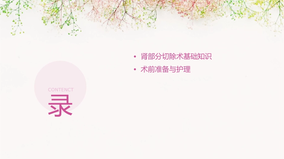 肾部分切除术是与非护理课件_第2页