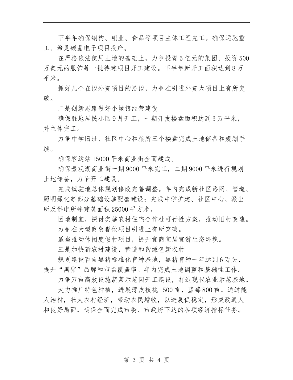镇村年中工作总结及思路_第3页