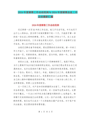 2024年度销售工作总结范例与2024年度销售总监工作总结最新汇编