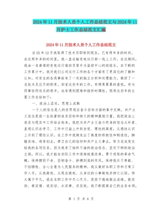 2024年11月技术人员个人工作总结范文与2024年11月护士工作总结范文汇编