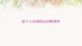 新个人所得税法讲解课件