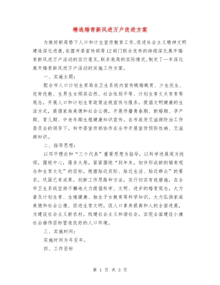 婚育新风进万户改进方案