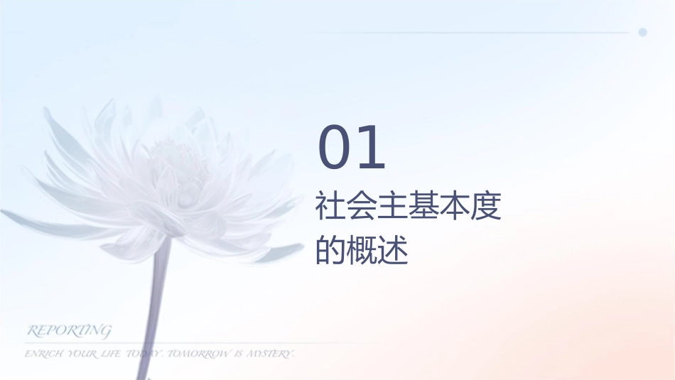 社会主义基本经济制度与社会主义市场经济课件_第3页