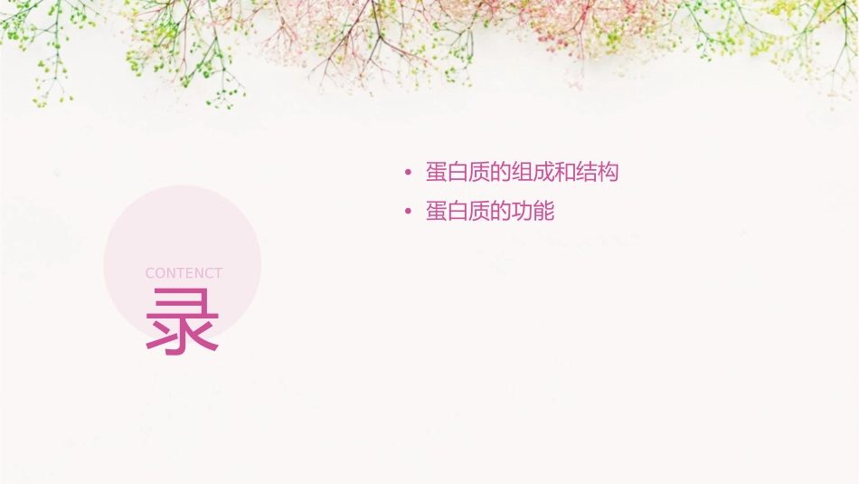 生命活动的主要承担者蛋白质通用课件_第2页