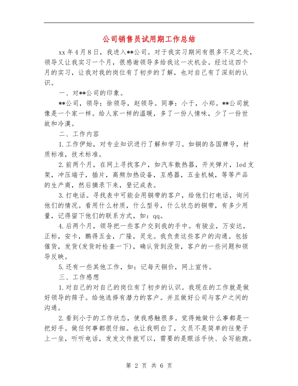 公司销售员试用期工作总结_第2页