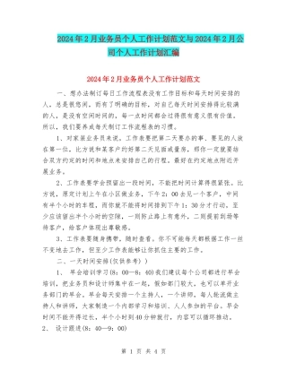 2024年2月业务员个人工作计划范文与2024年2月公司个人工作计划汇编