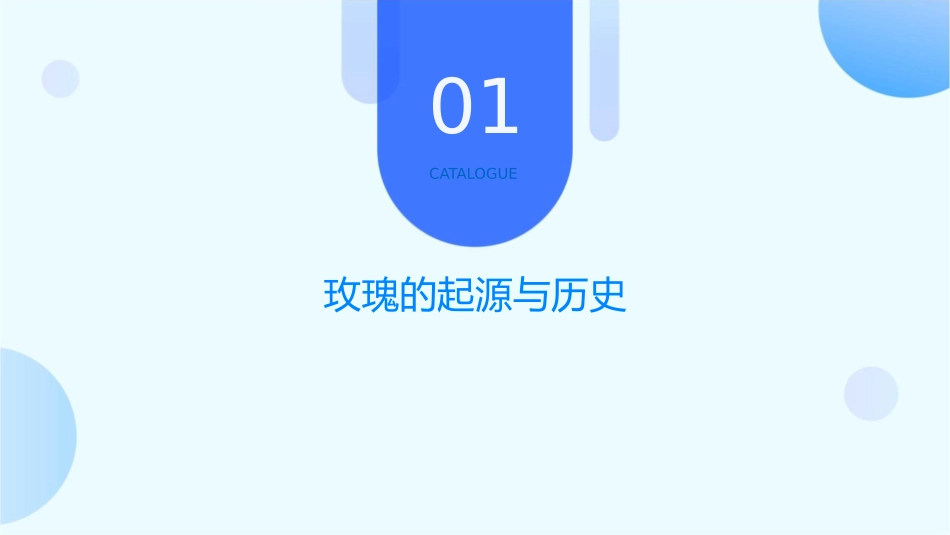 羞答答的玫瑰静悄悄地开课件_第3页