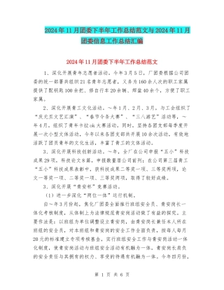 2024年11月团委下半年工作总结范文与2024年11月团委信息工作总结汇编