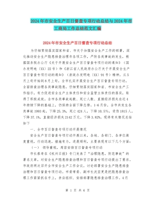 2024年市安全生产百日督查专项行动总结与2024年市工商局工作总结范文汇编