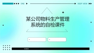 某公司物料生产管理系统的自检课件