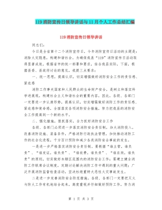 119消防宣传日领导讲话与11月个人工作总结汇编