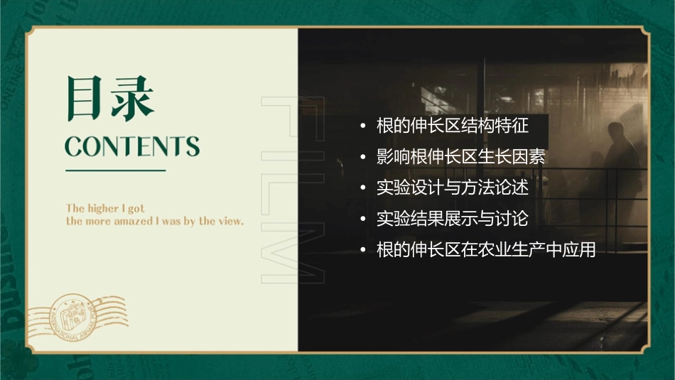 根的伸长区生长最快课件_第2页