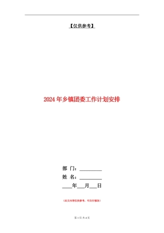 2024年乡镇团委工作计划安排