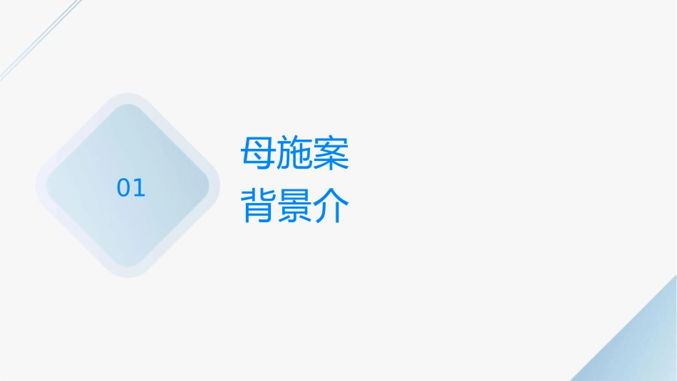 母婴传播实施方案解读分析课件_第3页