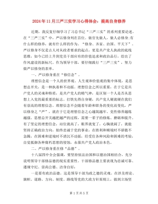 2024年11月三严三实学习心得体会：提高自身修养