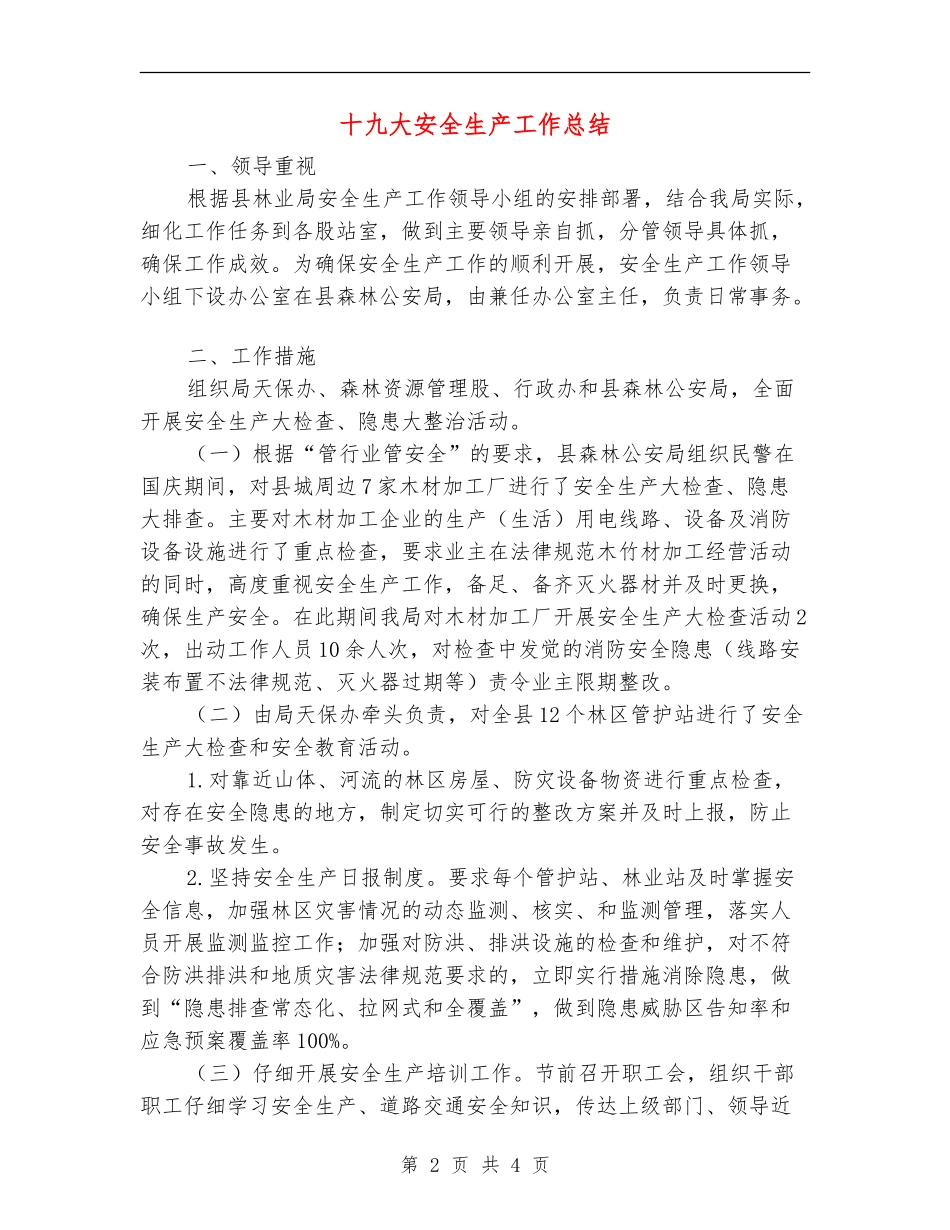 十九大安全生产工作总结_第2页