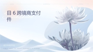 项目6跨境电商支付课件