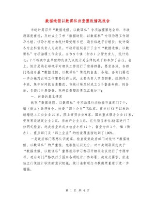 数据造假以数谋私自查整改情况报告