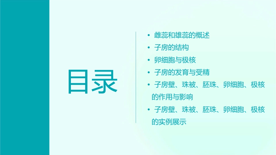 雌蕊和雄蕊子房的结构子房壁珠被胚珠卵细胞极核课件_第2页