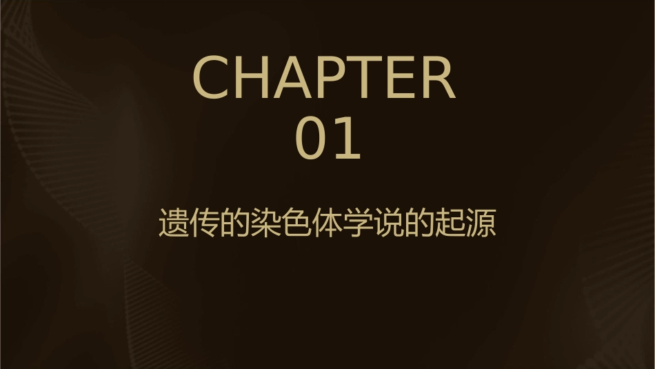 遗传的染色体学说_第3页