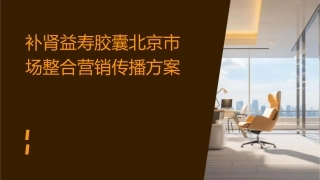 补肾益寿胶囊北京市场整合营销传播方案( 66页)课件