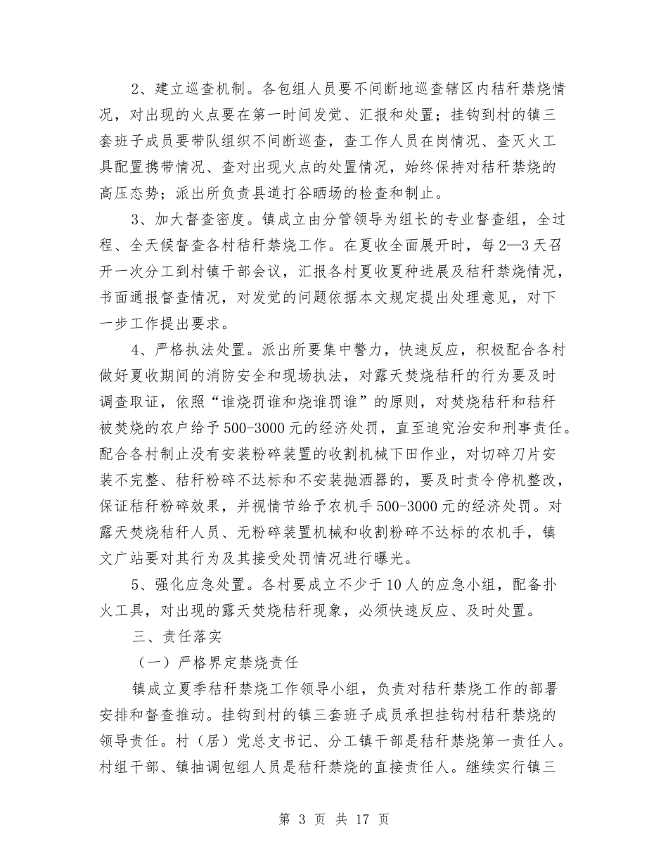 2024年夏季秸秆禁烧工作意见与2024年夏季防汛个人工作总结汇编_第3页