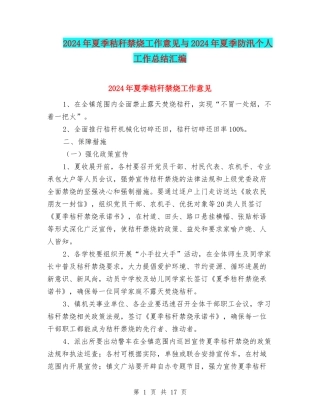 2024年夏季秸秆禁烧工作意见与2024年夏季防汛个人工作总结汇编