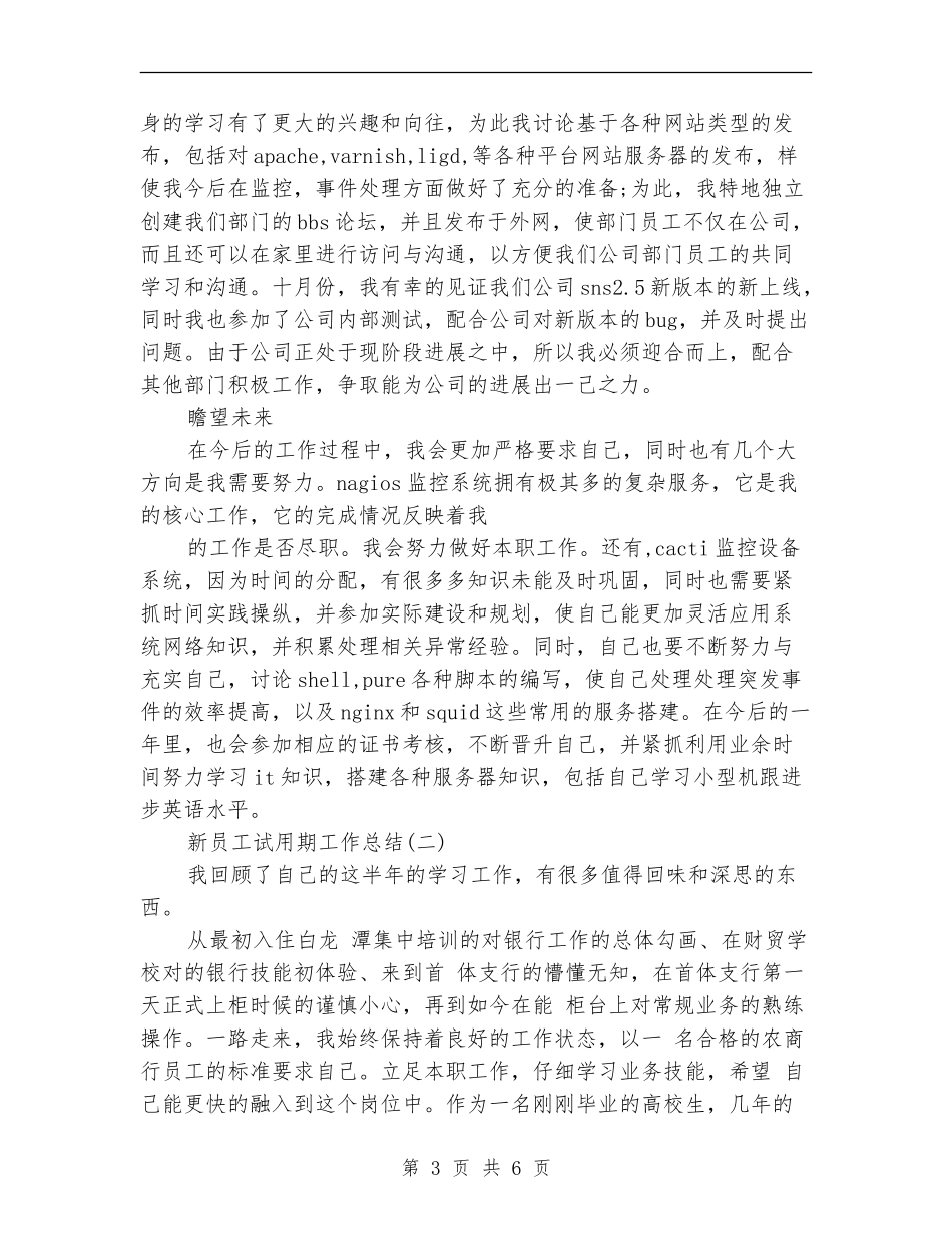 新员工试用期个人工作总结范文_第3页