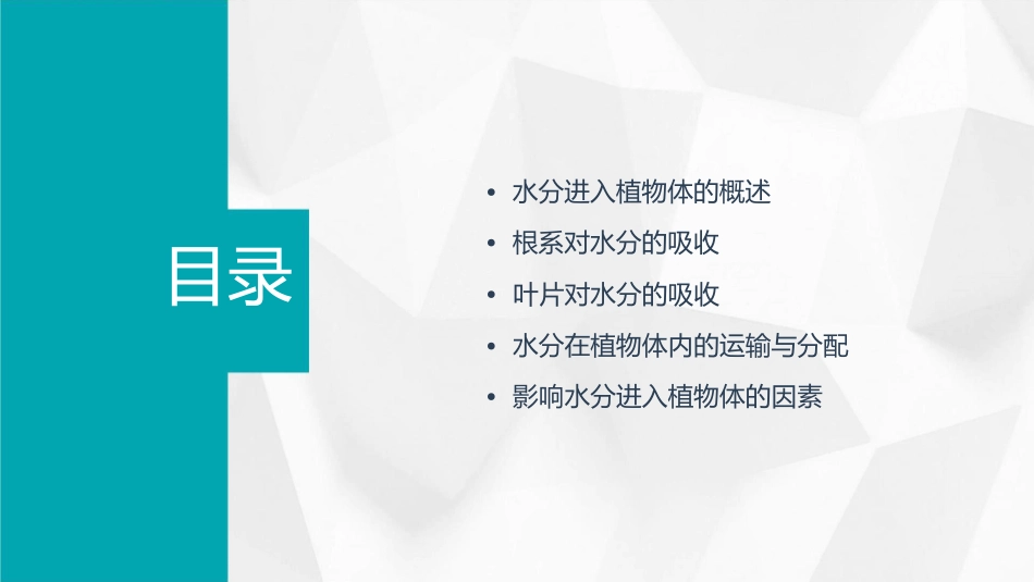 水分进入植物体的途径课件_第2页
