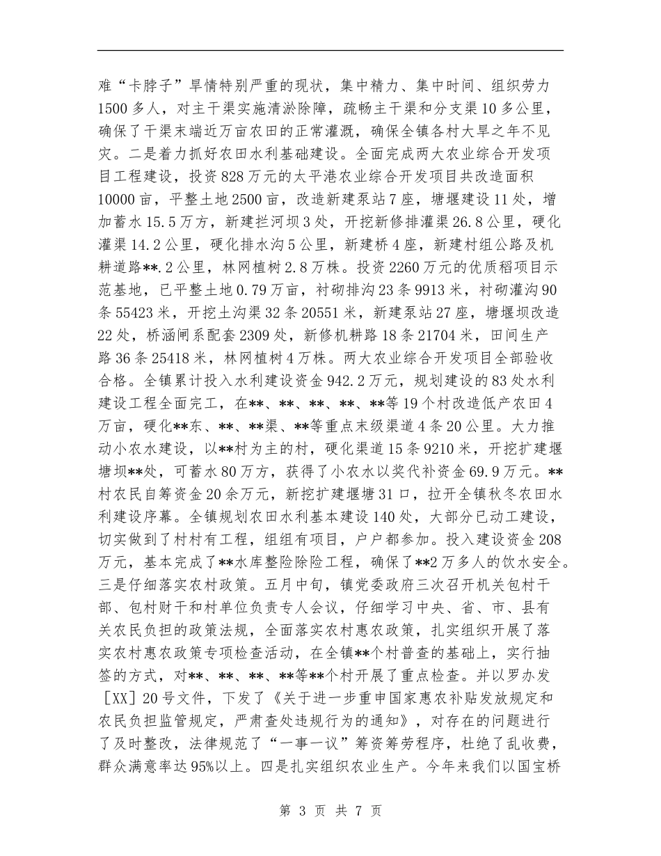 乡镇党委政府2024年终工作总结范文及2024年终工作思路_第3页