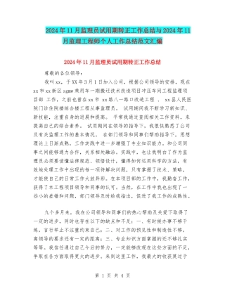 2024年11月监理员试用期转正工作总结与2024年11月监理工程师个人工作总结范文汇编