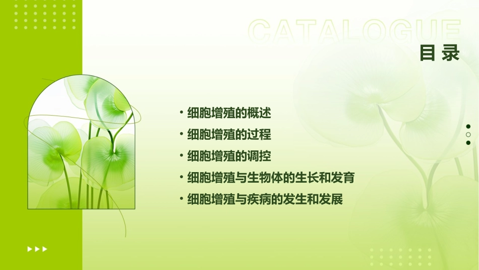 高中生物中图必修同步教学课件 细胞的增殖_第2页