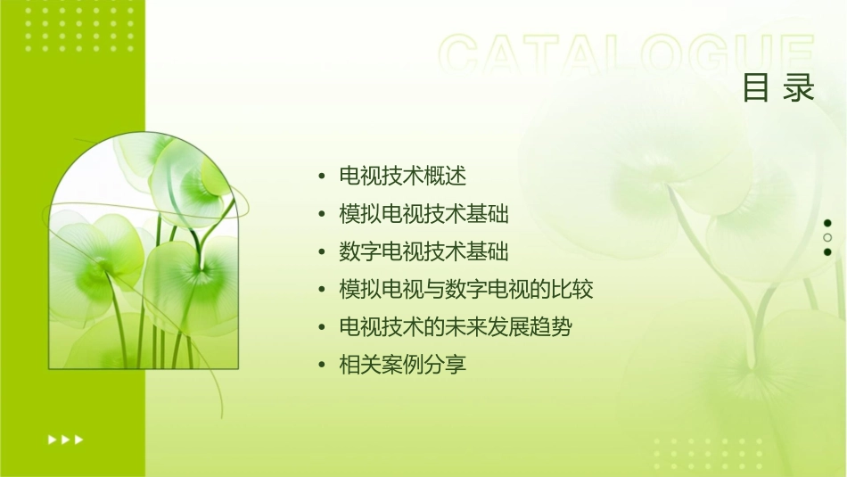 模拟电视与数字电视基础知识分析课件_第2页