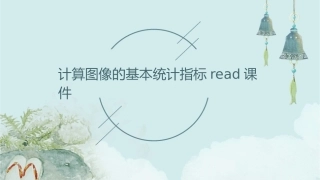 计算图像的基本统计指标Read课件