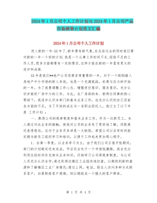 2024年1月公司个人工作计划与2024年1月公司产品市场销售计划范文汇编