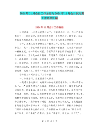2024年11月会计工作总结与2024年11月会计试用期工作总结汇编