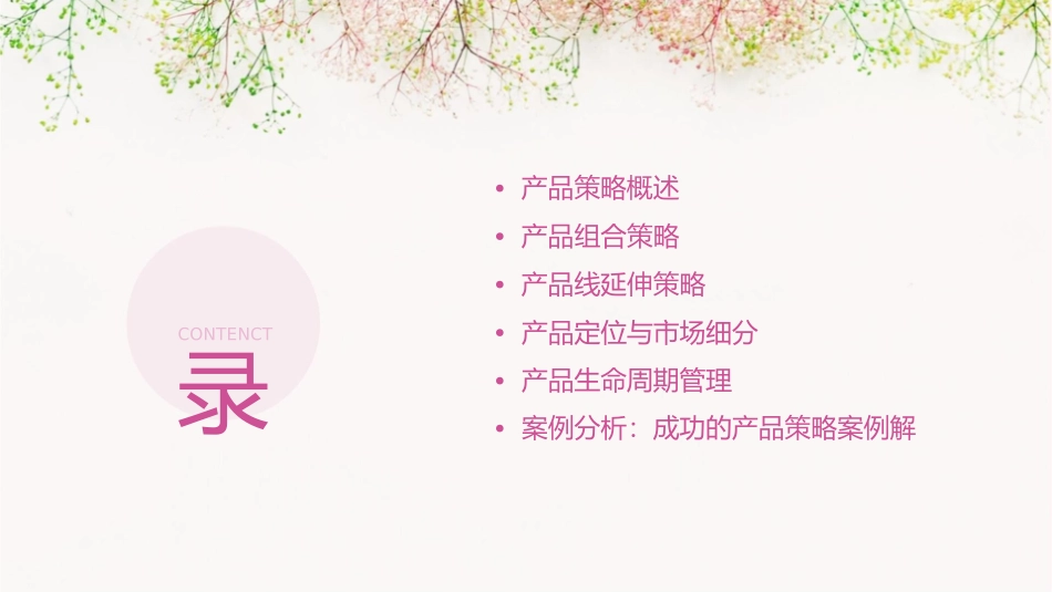 第九节产品策略课件_第2页