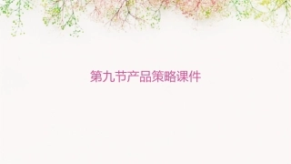 第九节产品策略课件