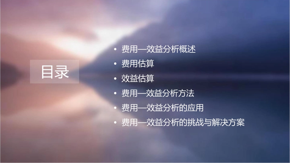 费用—效益分析课件_第2页